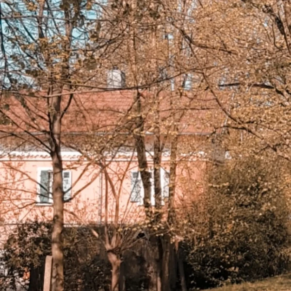 detailBanner