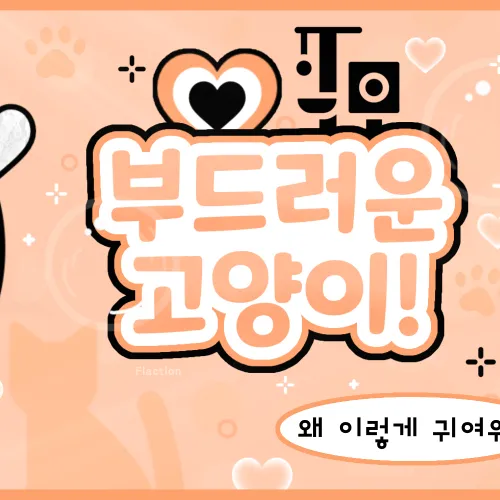 Top moment of Dahyun chosen by fans