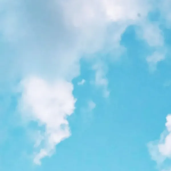detailBanner