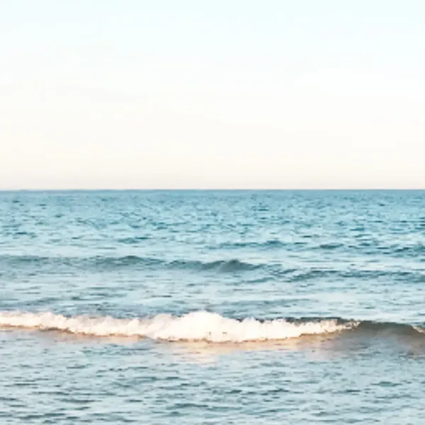 detailBanner