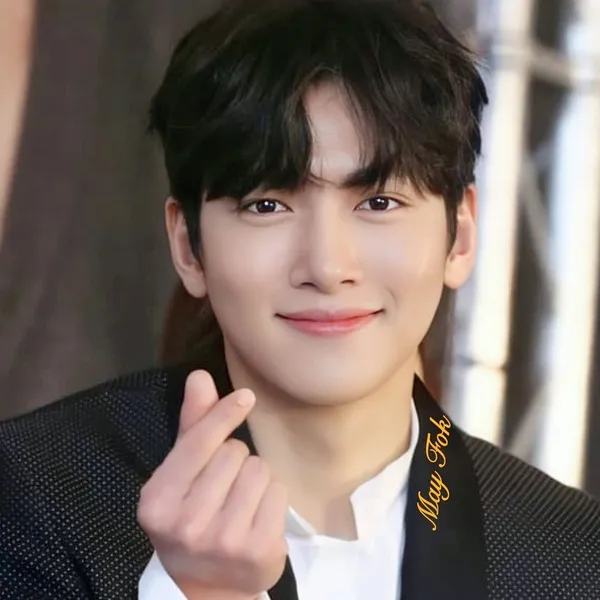 チ・チャンウクへのファンの愛が詰まった人気写真